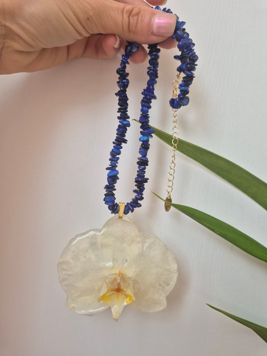 Colgante orquídea  Phalaenopsis