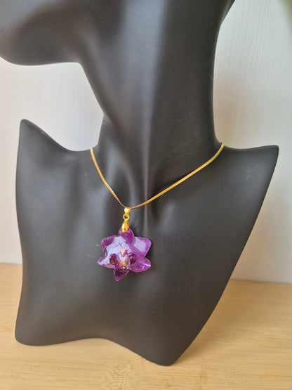 Colgante orquídea Phalaenopsis mini
