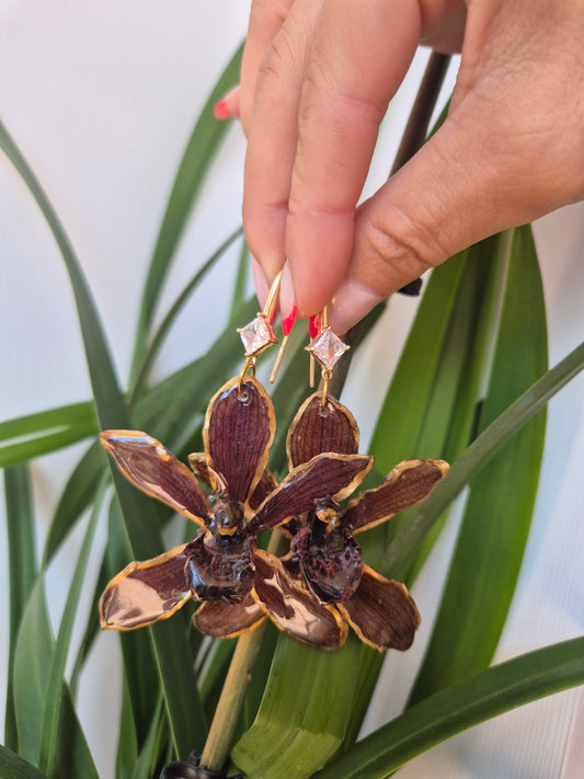 Pendientes orquidea Cymbidium