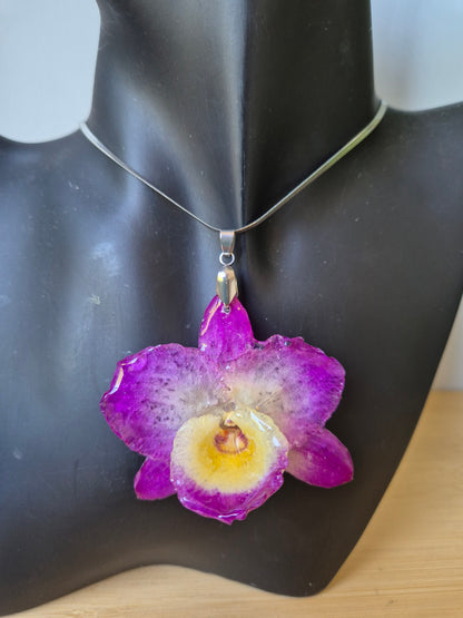 Colgante orquídea  Dendrobium