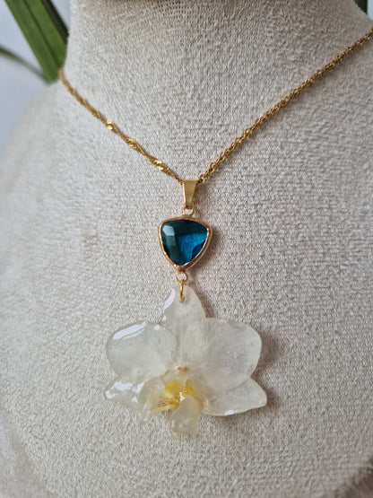 Colgante orquidea Phalaenopsis