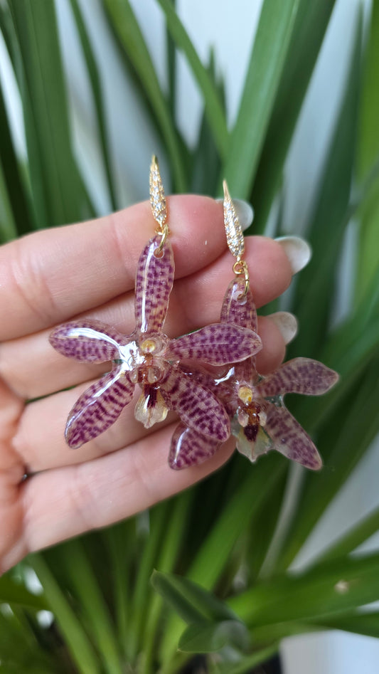 Pendientes orquídea exótica
