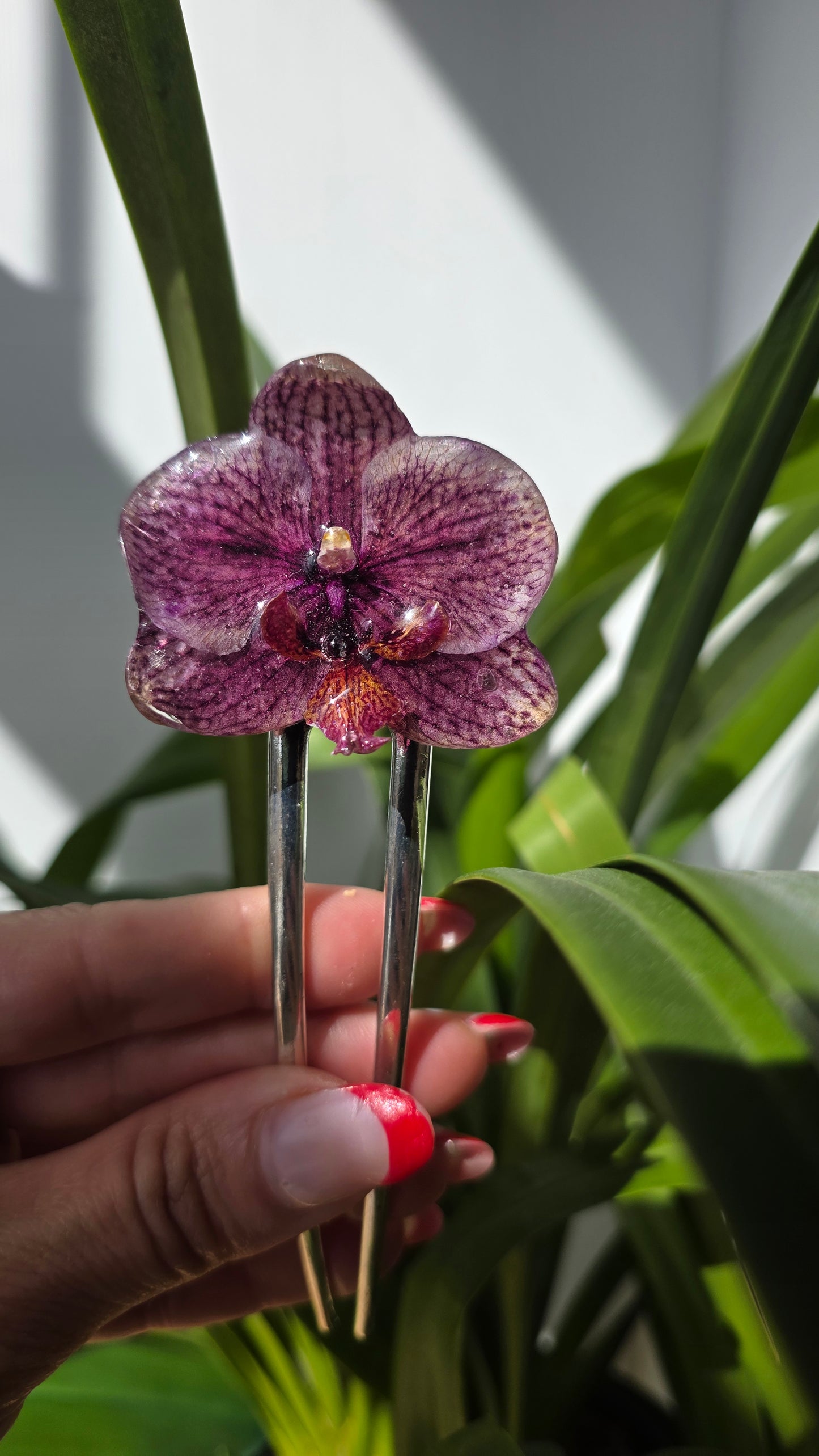 Horquilla de orquidea real