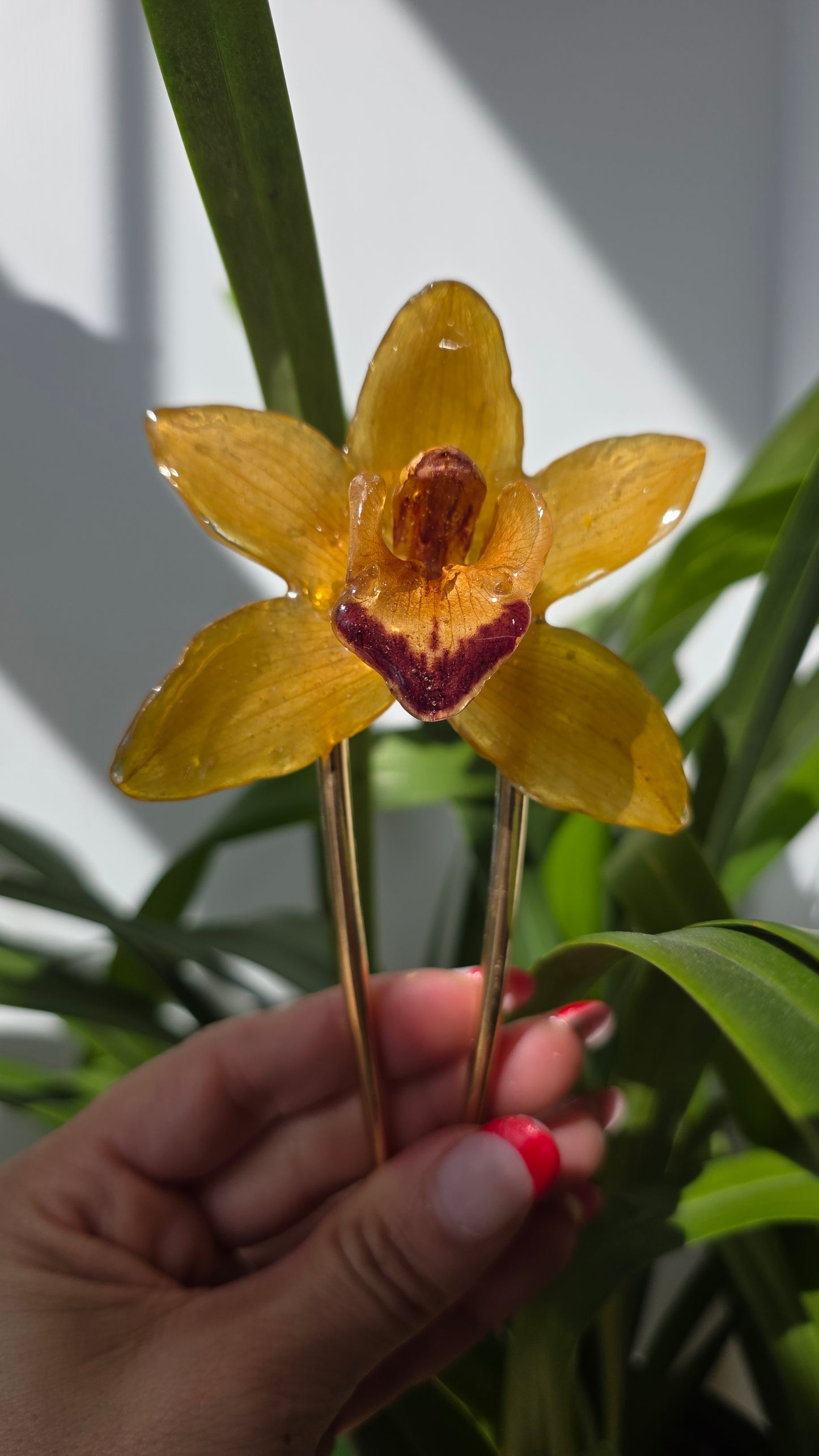 Horquilla de orquidea real