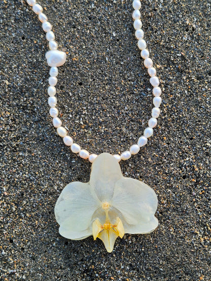 Collar de perlas y orquidea Phalaenopsis