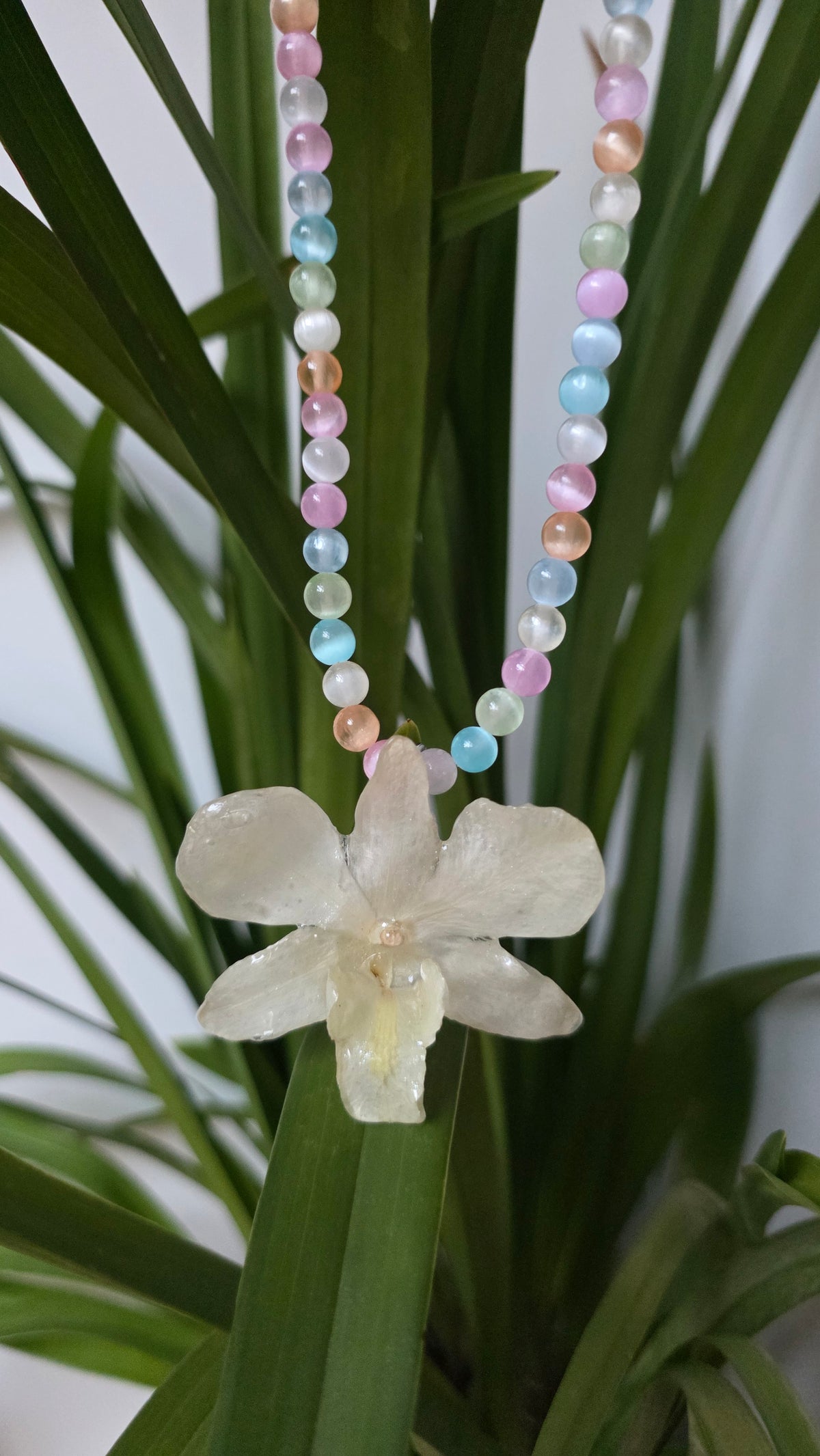 Collar orquidea Dendrobium