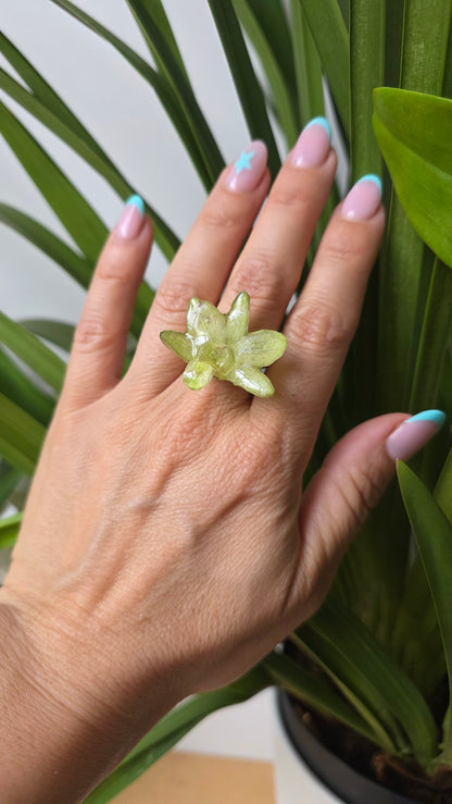 Anillo orquidea verde Dendrobium