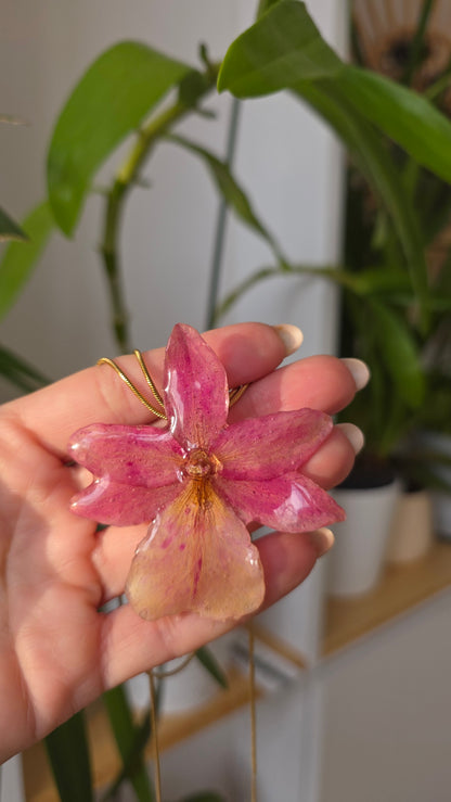 Collar regulable de orquidea.