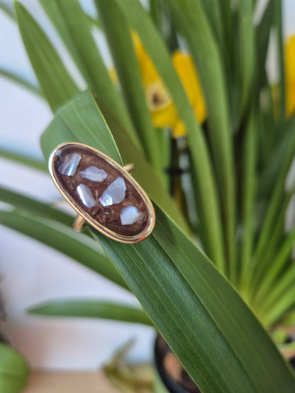 Anillo ajustable  concha marina ovalado