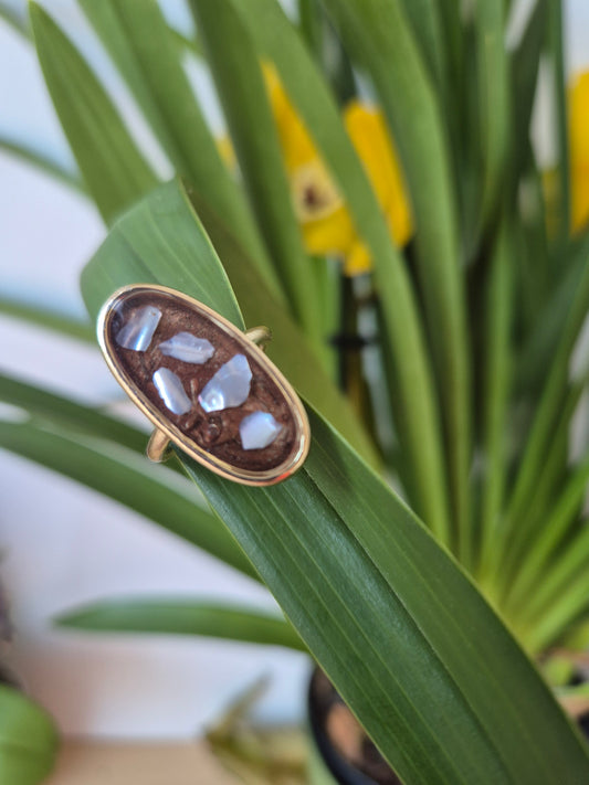 Anillo ajustable  concha marina ovalado