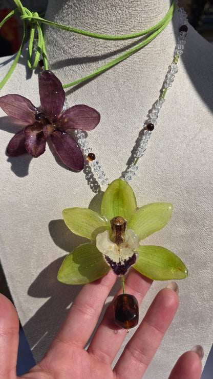 Colgante orquidea Cymbidium verde
