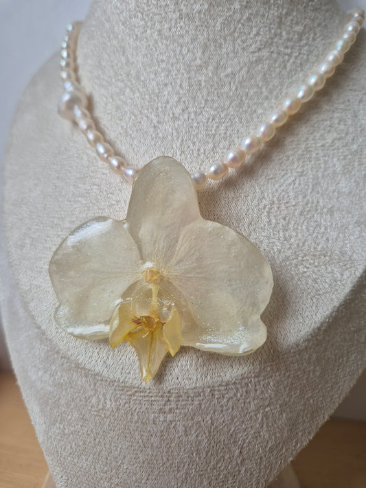 Collar de perlas y orquidea Phalaenopsis