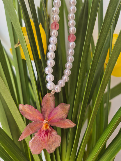 Colgante orquídea  Cymbidium