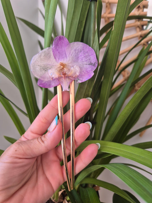 Horquilla de orquidea real