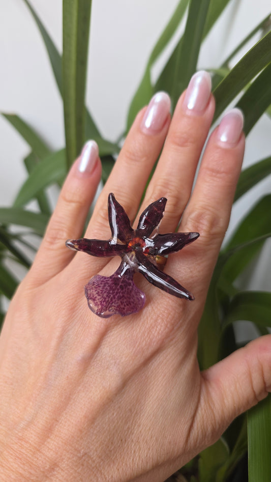 Anillo orquidea Oncidium nubigenum