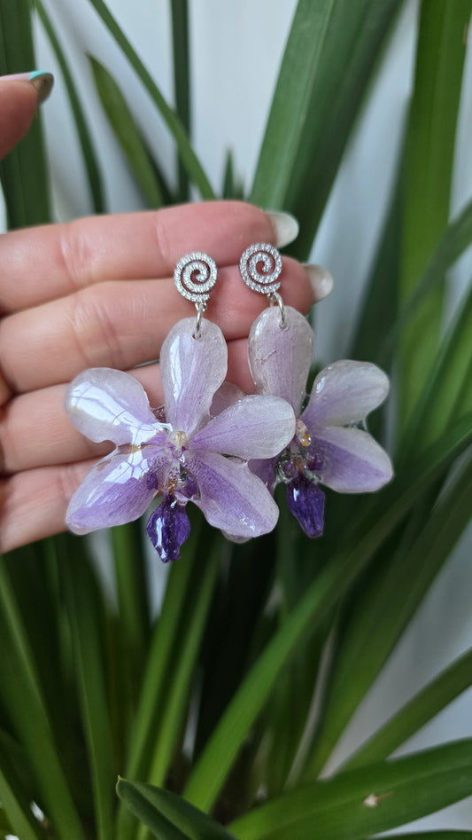 Pendientes orquídea exótica
