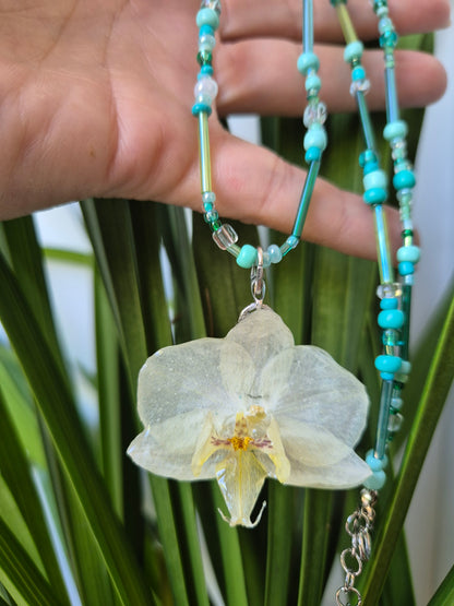 Colgante orquídea  Phalaenopsis blanca