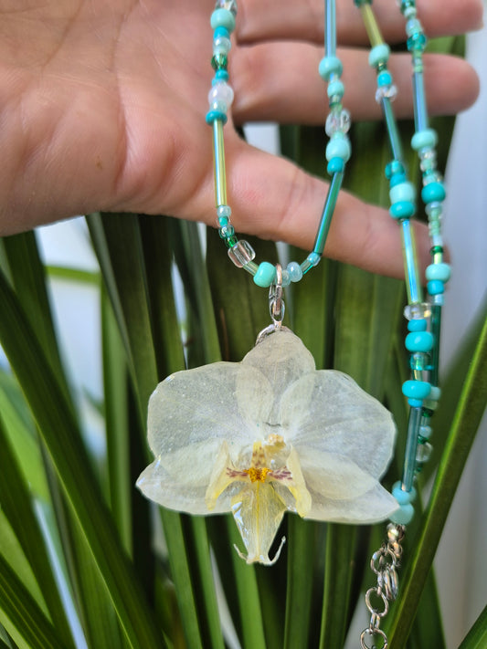 Colgante orquídea  Phalaenopsis blanca