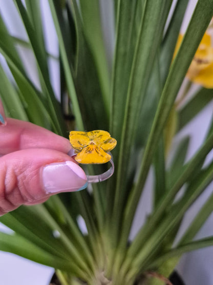 Anillo ajustable pensamiento mini