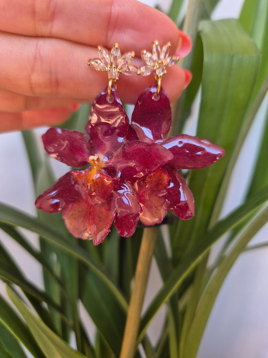 Pendientes orquidea cambria