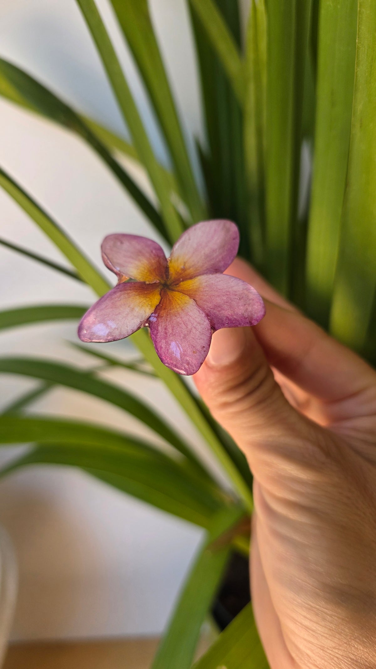 Anillo Plumeria rosa