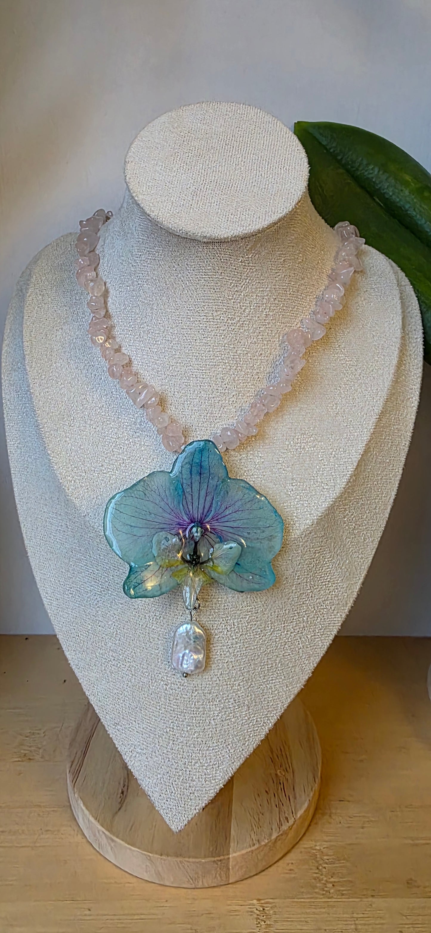 Colgante orquídea Phalaenopsis