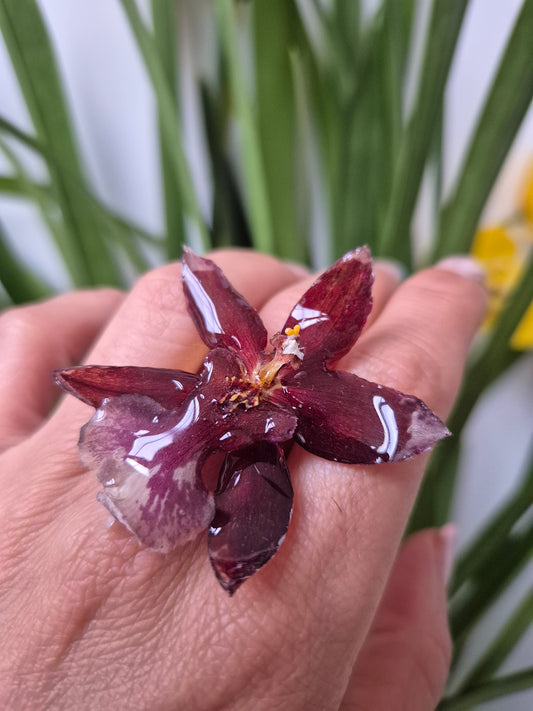 Anillo ajustable orquídea Oncidium