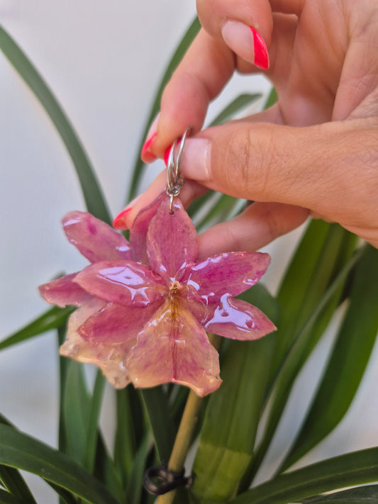 Pendientes orquídea rosa