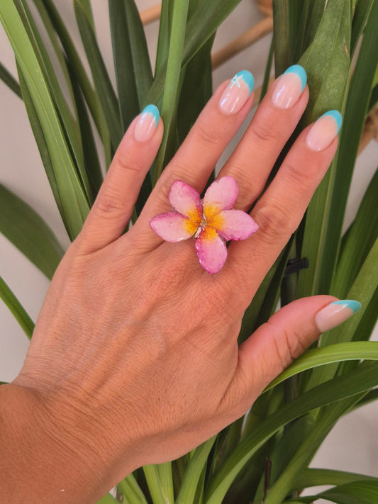 Anillo plumeria rosada