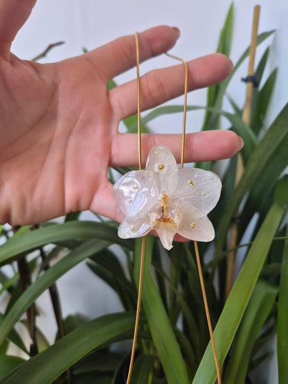 Colgante regulable de orquídea Phalaenopsis