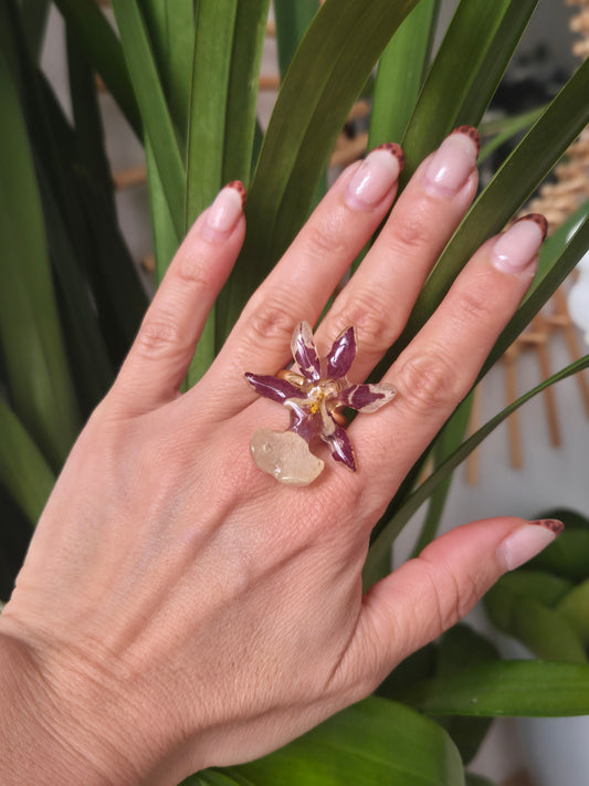 Anillo orquidea Cambria mini