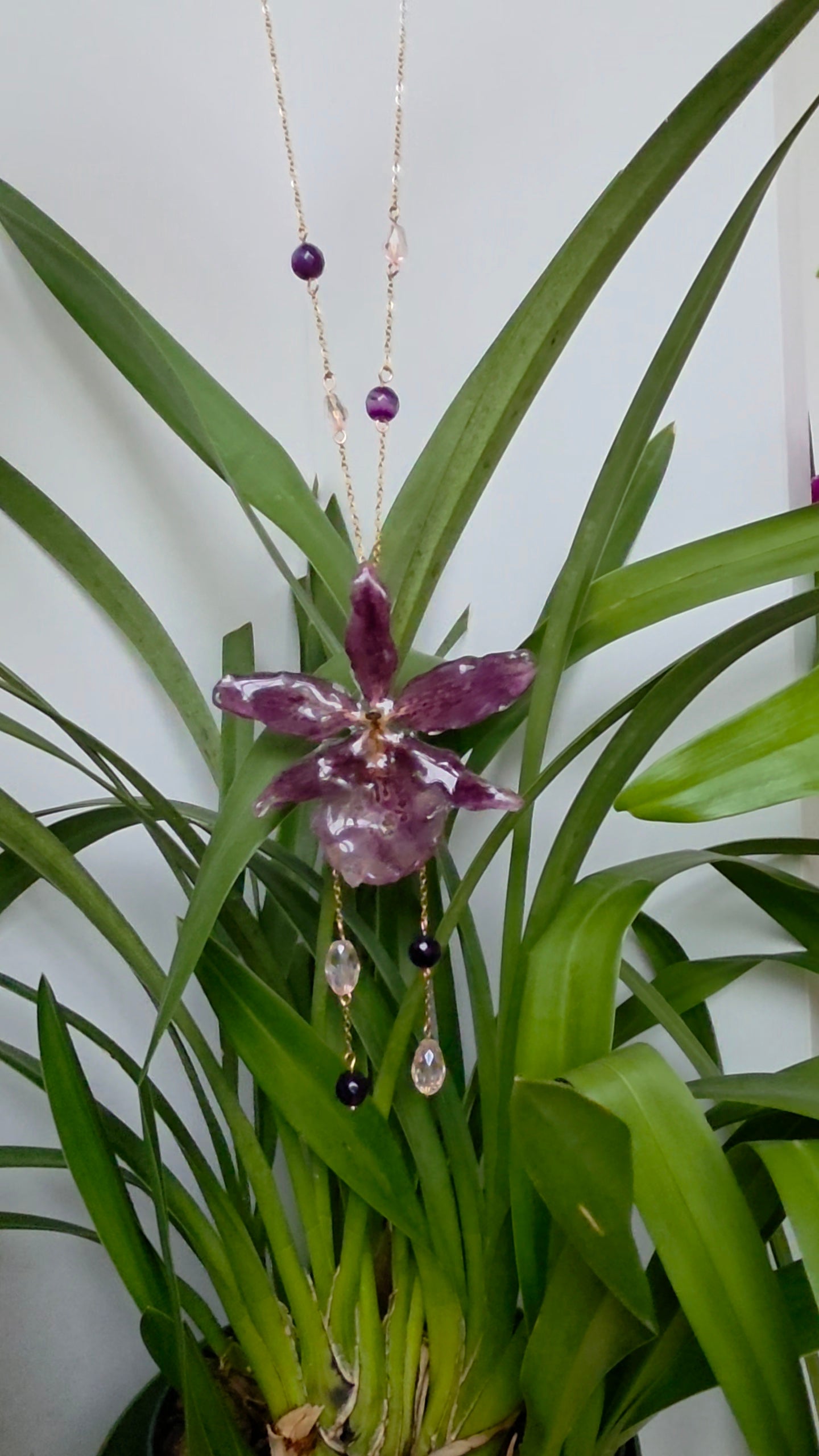Colgante de orquidea real