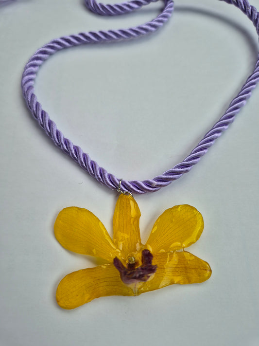 Colgante orquidea Dendrobium