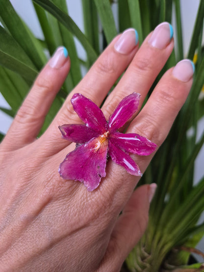 Anillo ajustable orquídea Cymbidium
