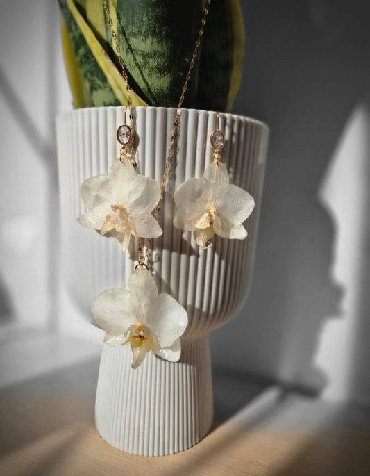 Conjunto orquídea blanca