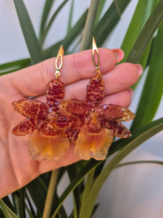 Pendientes orquídea Cambria