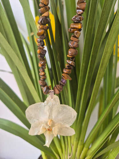Colgante orquídea  Phalaenopsis