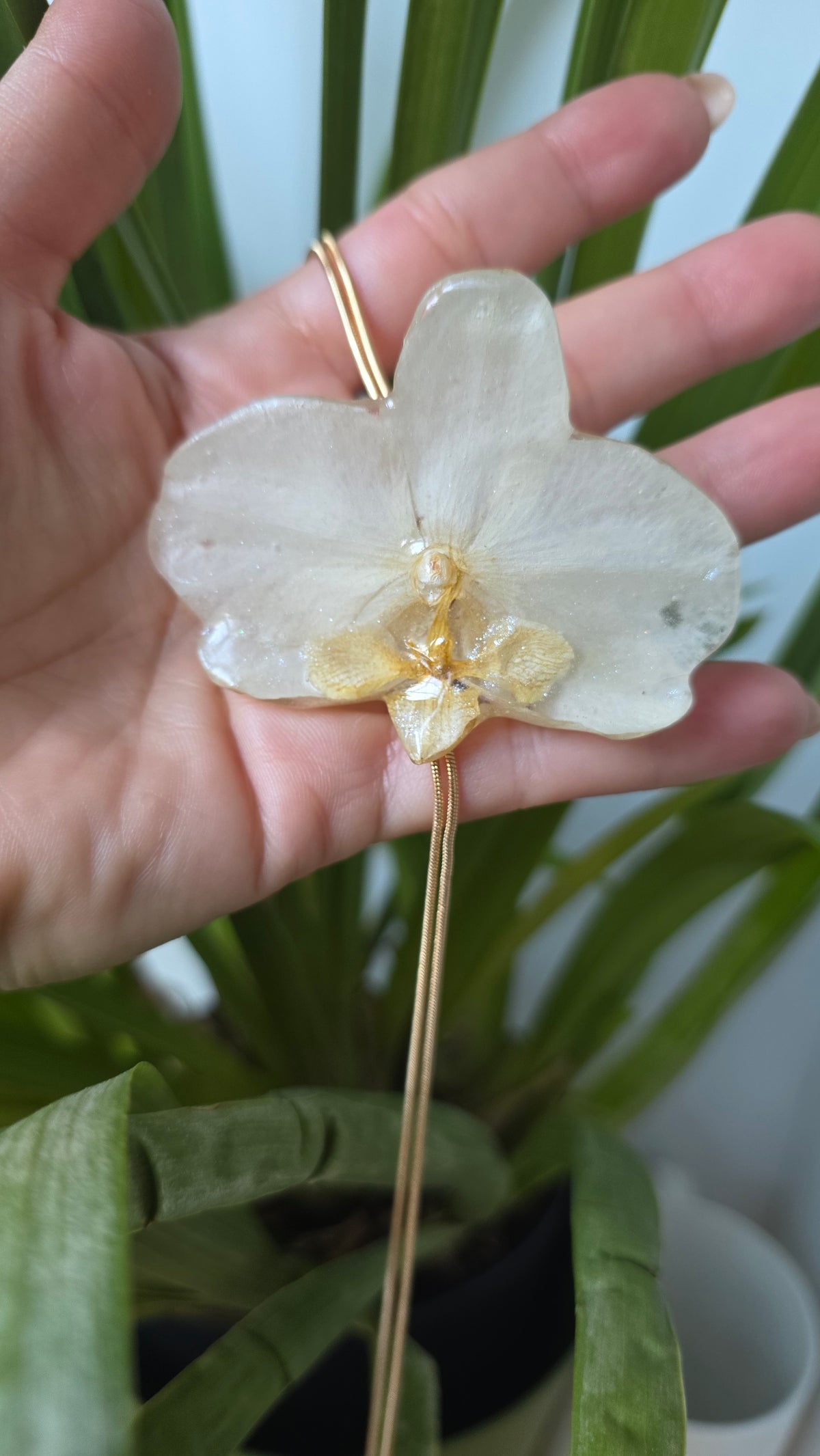Collar regulable de orquidea.
