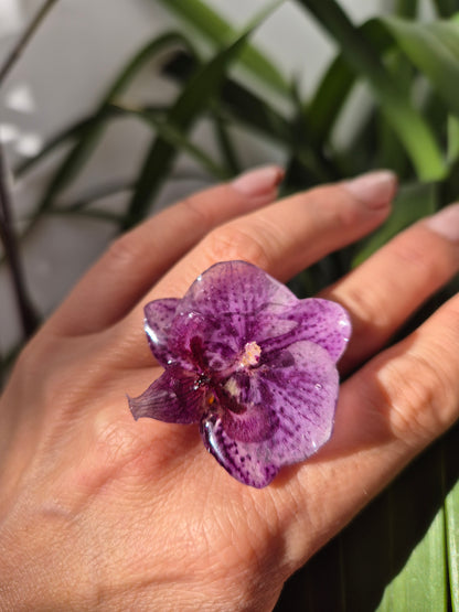 Anillo orquidea
