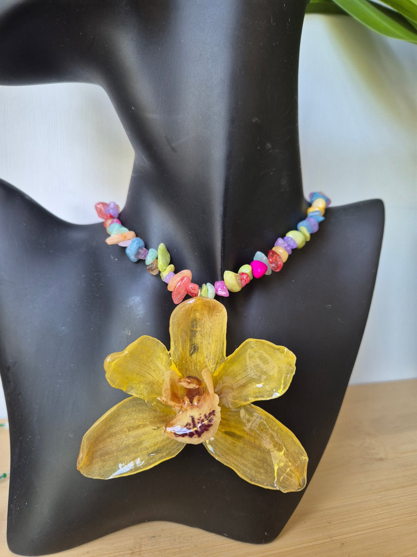 Colgante orquidea cymbidium amarilla