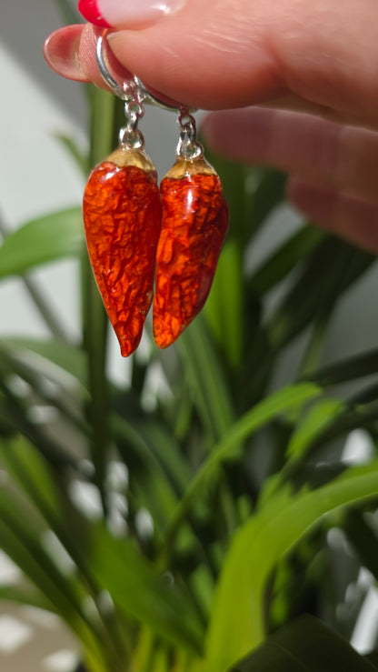 Pendientes de Chile