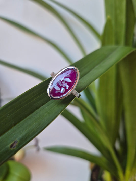 Anillo concha marina  ovalado