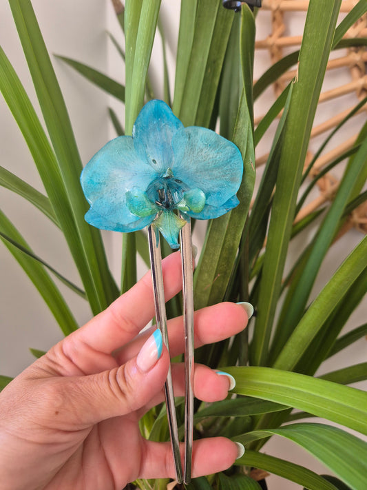 Horquilla de orquidea real
