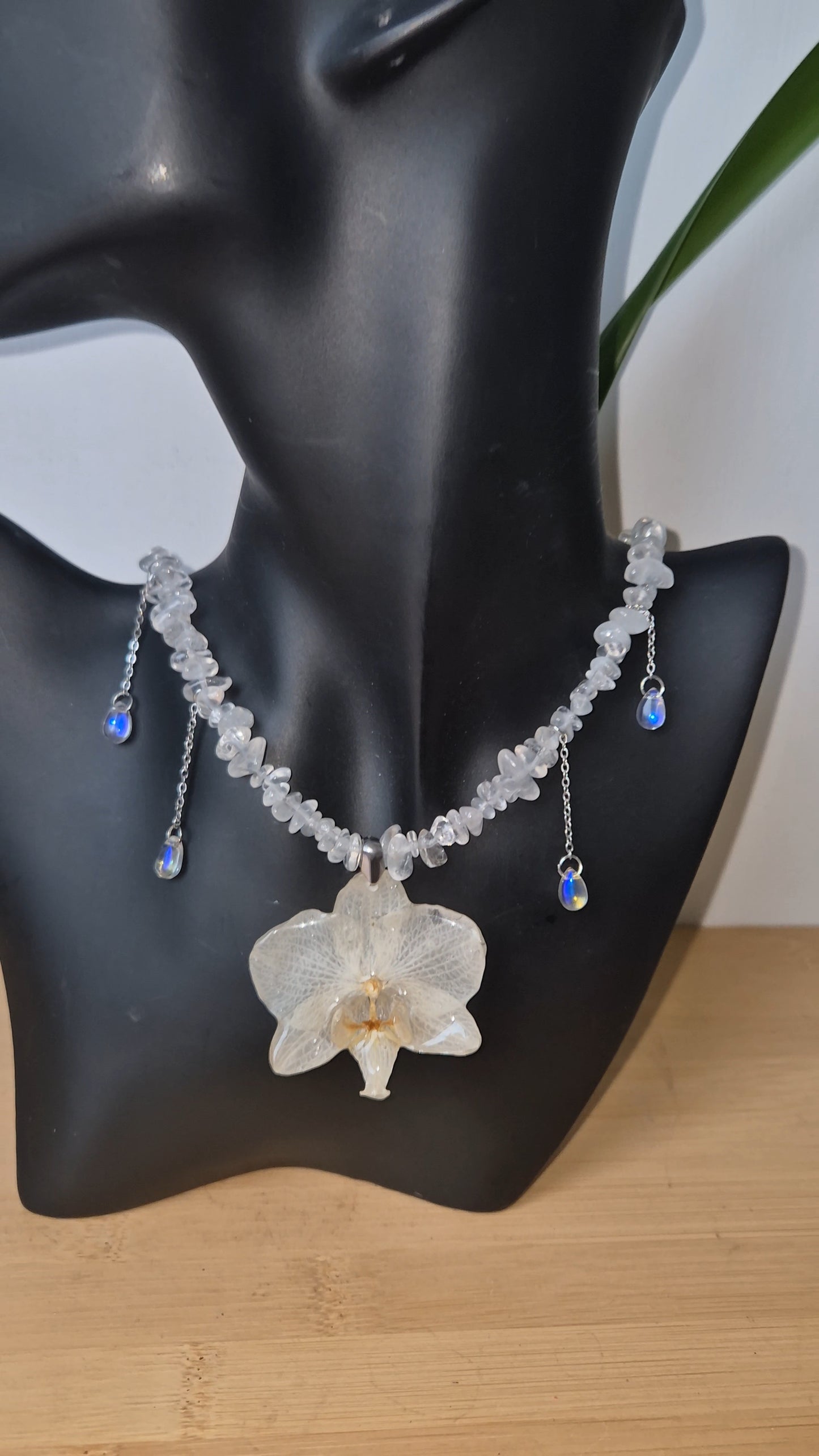 Colgante orquidea Phalaenopsis