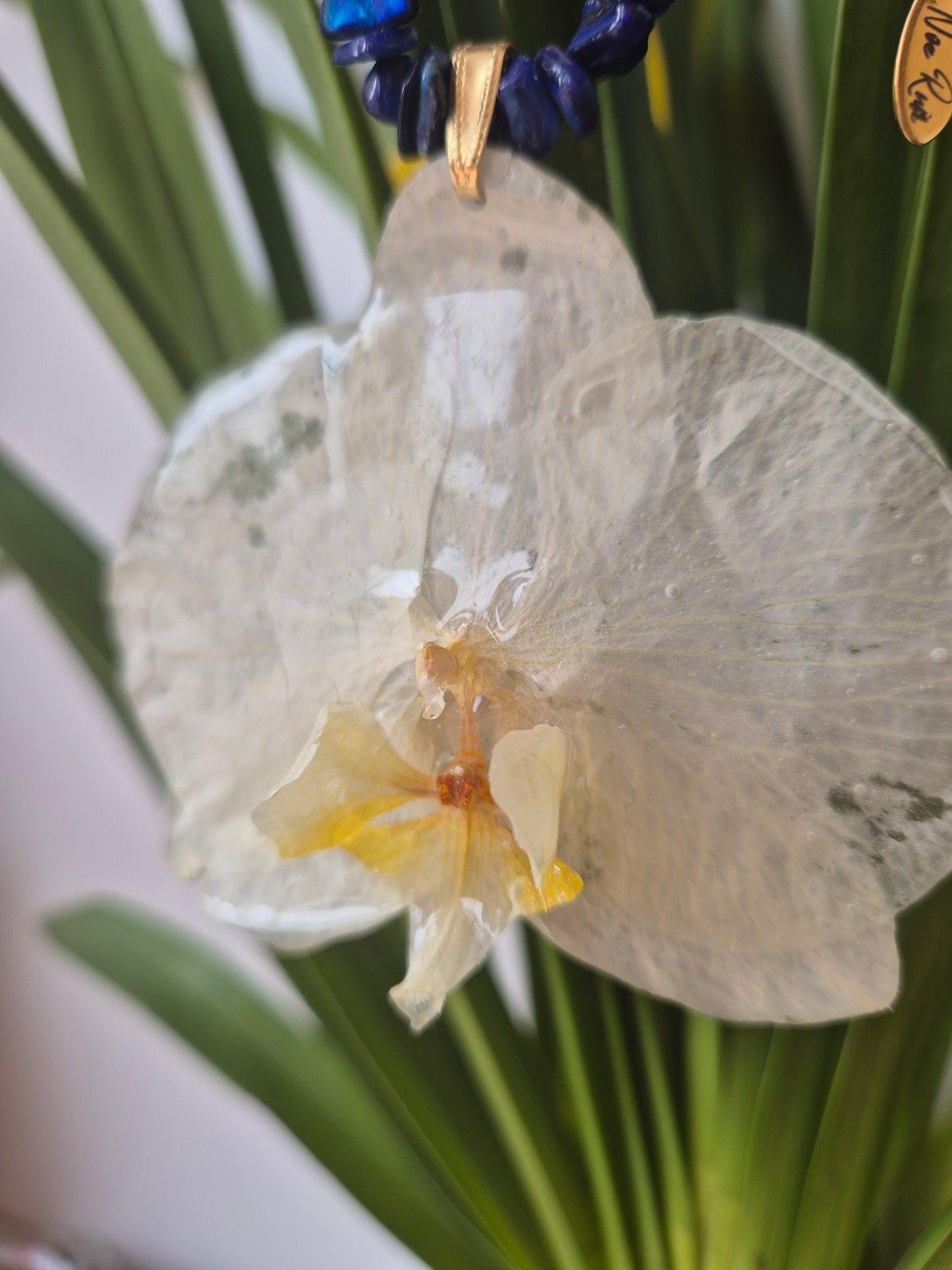 Colgante orquídea  Phalaenopsis