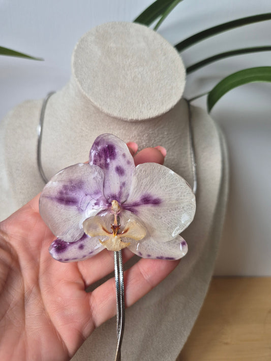 Colgante regulable de orquídea Phalaenopsis