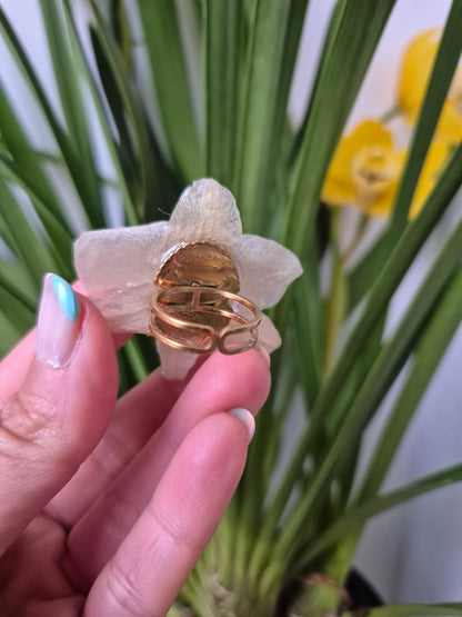 Anillo ajustable orquídea Phalaenopsis