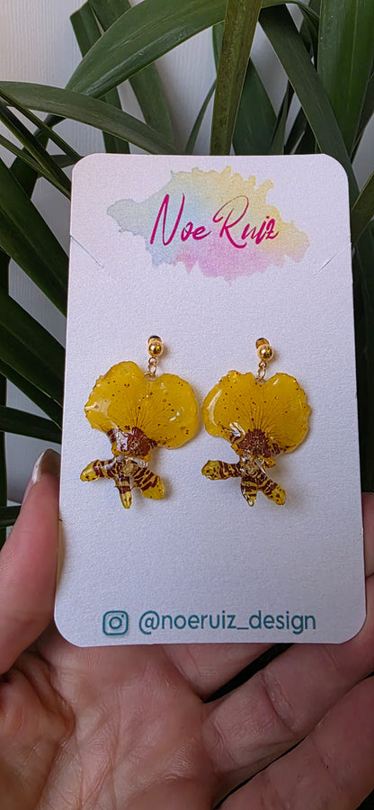 Pendinentes orquidea Oncidium mini