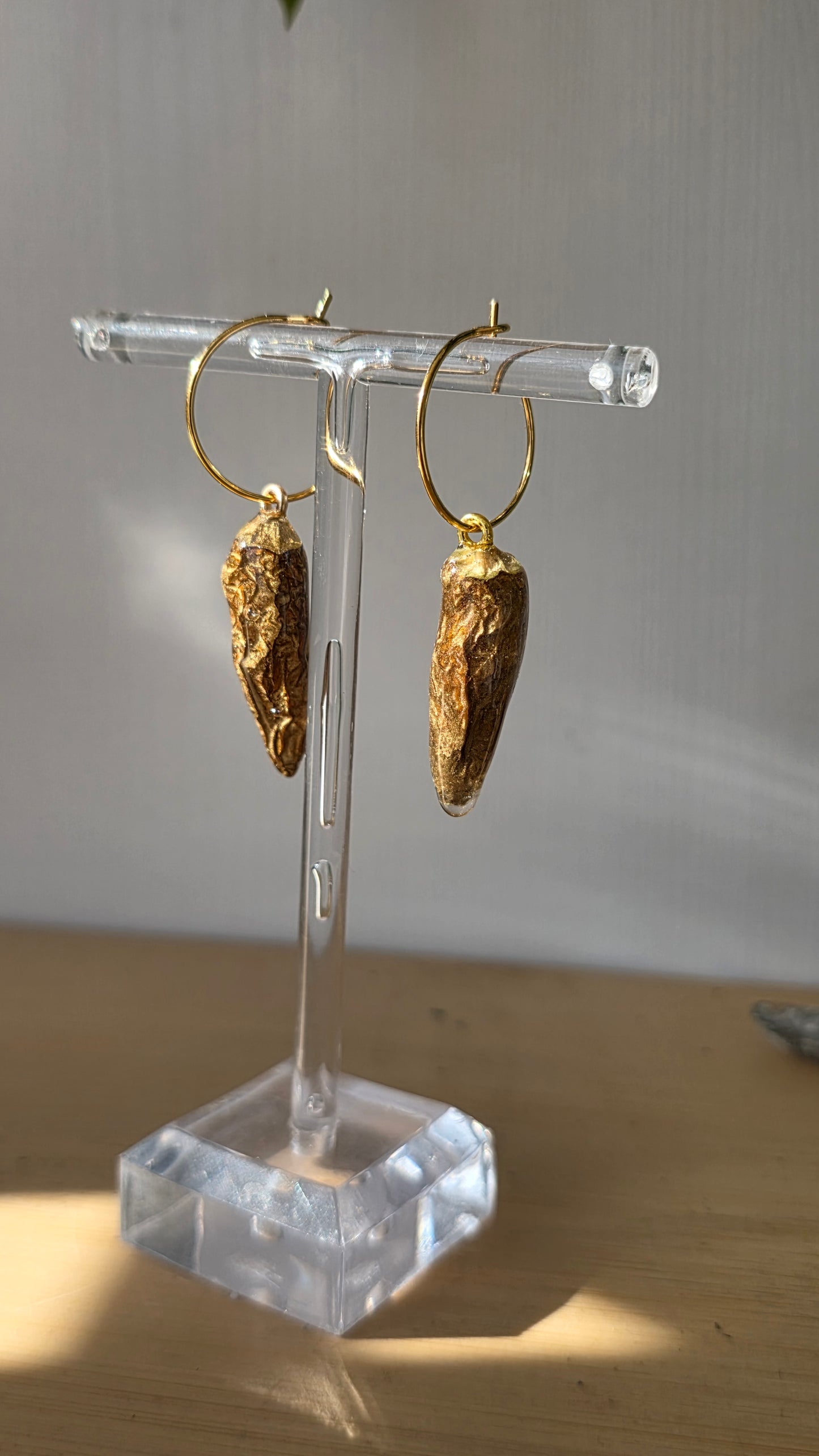 Pendientes de Chile