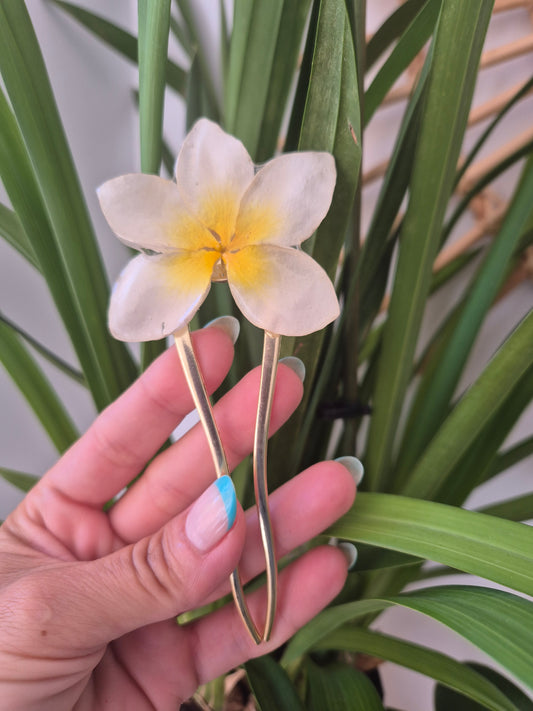 Horquilla de plumeria